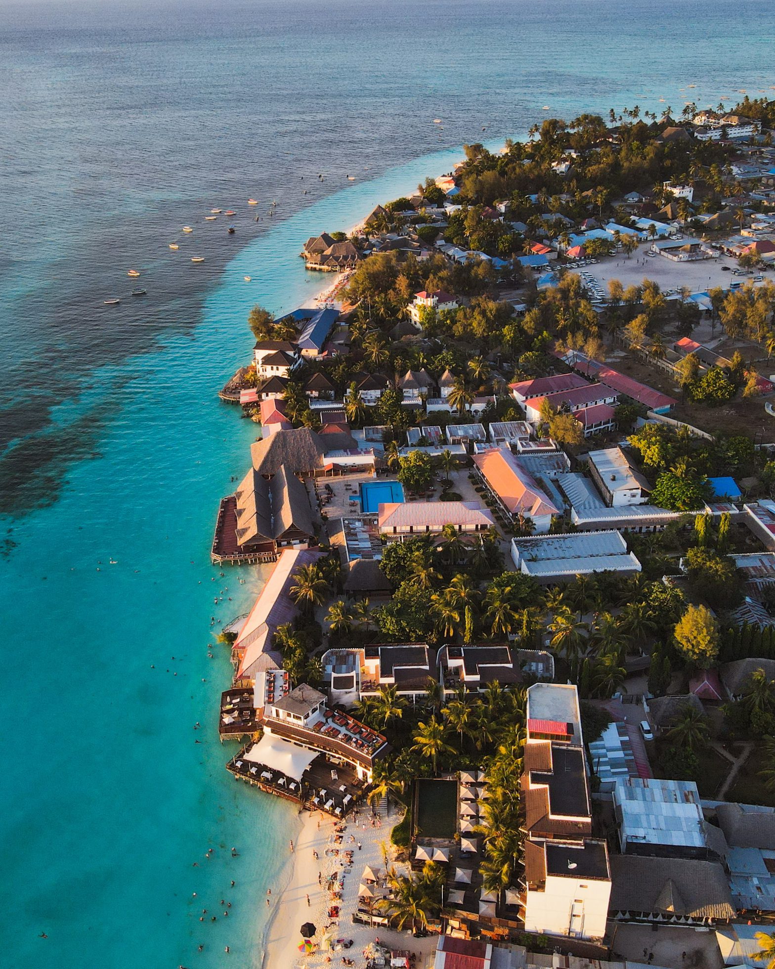 Tropical beach with palm trees and turquoise water